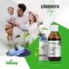 Çörekotu Yağı - Likid 100 ML