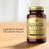 Cranberry with Vitamin C 60 Kapsül