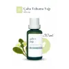 Çuha Tohumu Yağı 30 ml - Cilt Bakım Yağı
