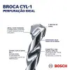 Cyl, 1 delme ucu