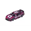 D132 Nascar Daytona Yarışı