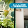 D30 Akvaryum Silikonu 280 ml