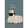 Daily Journal - Valais Blacknose Sheep