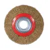 Daire Fırça Saçaklı 200 mm