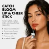 Daylily Stick Ruj & Allık - 4,5Gr