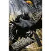 DC Comics Batman Gargoyle Posteri