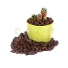 Dekoratif İthal Kil Bilyesi 5 L