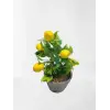 Dekoratif Yapay Limon Ağacı – Saksılı
