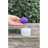 Deniz Kabuğu 3D Mum Kalıbı (Silikon)