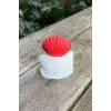 Deniz Kabuğu 3D Mum Kalıbı (Silikon)