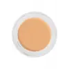 Digital Complexion Cream Foundation 11000 O17