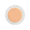 Digital Complexion Cream Foundation 11000 Y25