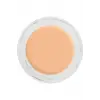 Digital Complexion Cream Foundation 11000 Y25