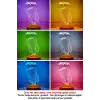 Diş Hekimi Temalı 3D LED Lamba, Diş Doktoruna