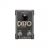 Ditto Mic Looper Vokal Efekt Pedalı