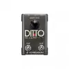 Ditto Mic Looper Vokal Efekt Pedalı