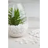 Dolomit 1 kg