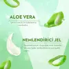 Dudak Bakım Kremi Aloe Vera 4.8 g
