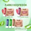 Dudak Bakım Kremi Aloe Vera 4.8 g