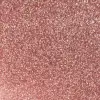 Dudak Parlatıcısı-Sleeks Lip Gloss 114NF