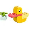 Duplo 30673 My First Duck
