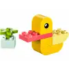 Duplo 30673 My First Duck
