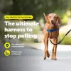 Easy Walk Köpek Koşum Takımı