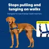 Easy Walk Köpek Koşum Takımı