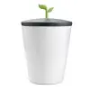 EcoCrock iç mekân kompost kutusu