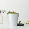EcoCrock Komposteimer