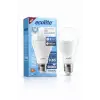 Ecolite Şarjlı LED Acil Durum Ampulü 9W E27 6500K