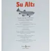 Eğlenceli Bilim: Su Altı