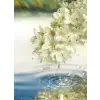 Elca- Paradise Moon 100 Ml Edp