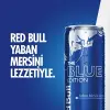Enerji İçeceği, Yaban Mersini, 250 ml