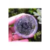 Erect Moss Kutu Canlı Bitki