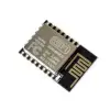 Esp-12E Esp8266 Wifi Modül