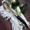 Estuche DE 4 cuchillos de mesa EBANO (hoja pulido espejo)