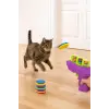 Eva malzemeli interaktif kedi oyun tabancası