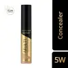 Facefinity Multi Perfector Kapatıcı 5W