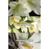 Far Away Kadın Rollon 50 Ml. Üçlü Set