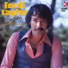 Ferdi Tayfur Derbeder Plak