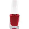 Fırça, 2li Oje No: 263 + 10 ve 15 Parça Nail Art Seti