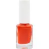 Fırça, Oje No: 294 + 118 ve 15 Parça Nail Art Seti