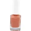 Fırça, Oje Seti, No: 113 + 234 ve 15 Parça Nail Art Seti