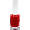 Fırça, Oje Seti, No: 261 + 289 ve 15 Parça Nail Art Seti