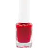 Fırça, Oje Seti No: 28 + 99 ve 15 Parça Nail Art Seti