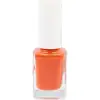 Fırça, Oje Seti No: 298 + 294 ve 15 Parça Nail Art Seti