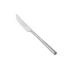 Flame Tekli Tatlı Bıçağı 22 cm