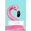 Flamingo Desenli Defter ve Günlük