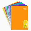 FLEX SP PP DEF.A4 120 YP.CIZGILI